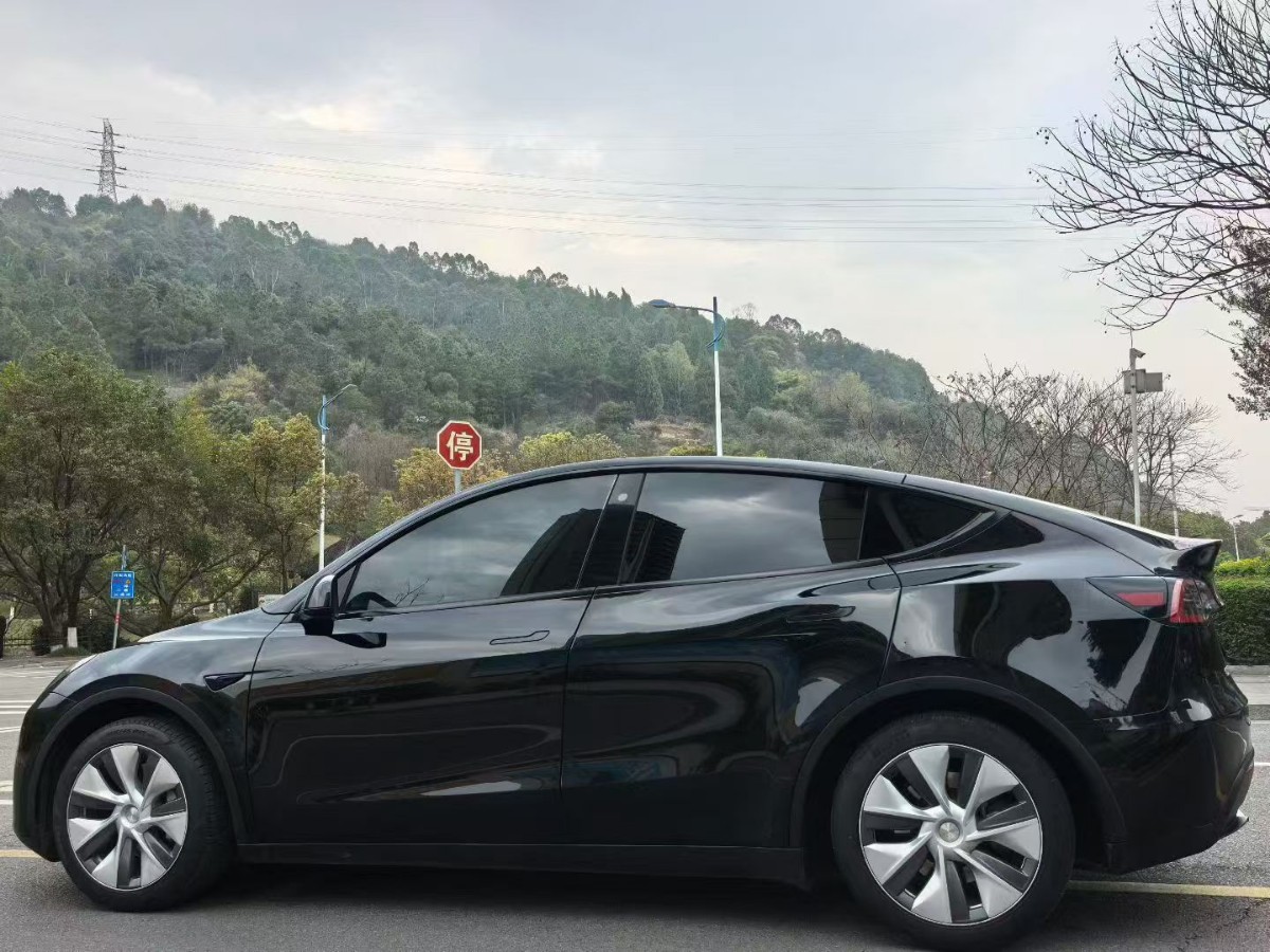 Tesla Model Y 2023 #8 Tesla Model Y 2023 car image #8