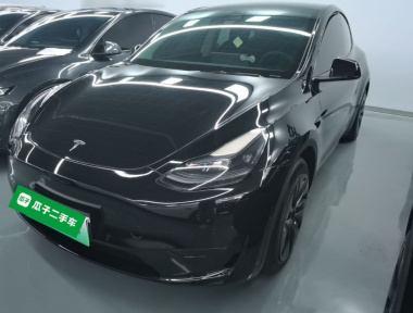 Tesla Model Y 2023 Tesla Model Y 2023 car image
