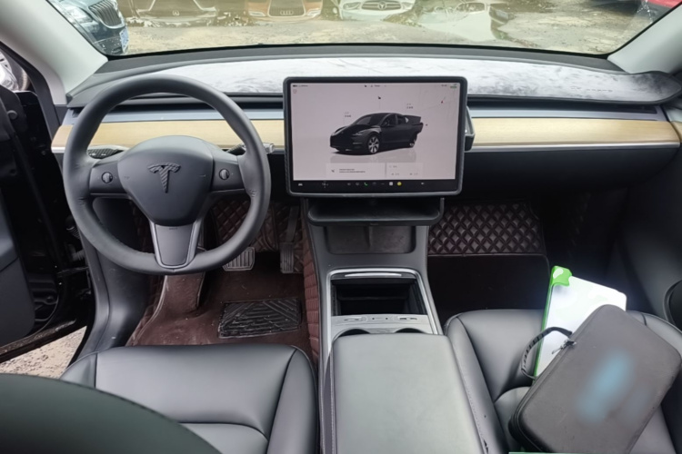 Tesla Model Y 2023 car image #10