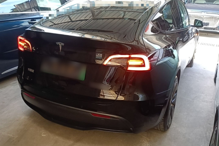 Tesla Model Y 2023 #7 Tesla Model Y 2023 car image #7