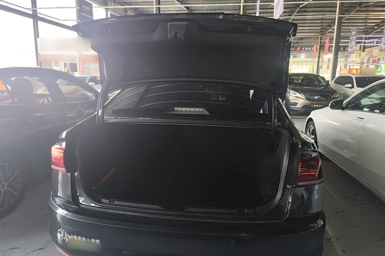 Volkswagen Bora 2020 imagen de coche #19