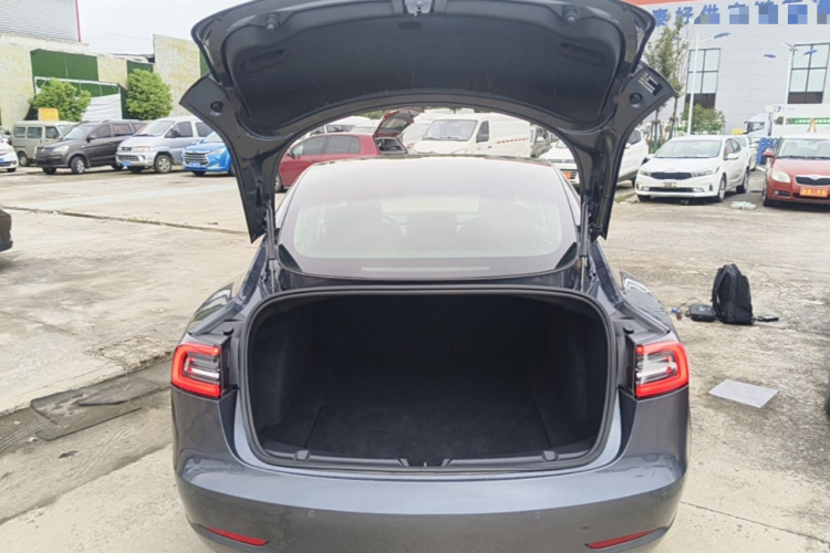 Tesla Model 3 2020 #19 Tesla Model 3 2020 immagine di auto #19