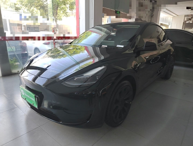 Tesla Model Y 2022 car image 