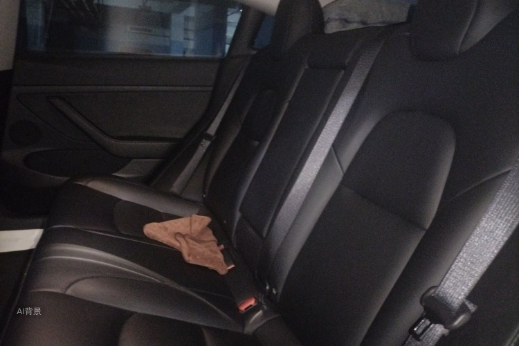 Tesla Model 3 2022 #19 Tesla Model 3 2022 car image #19