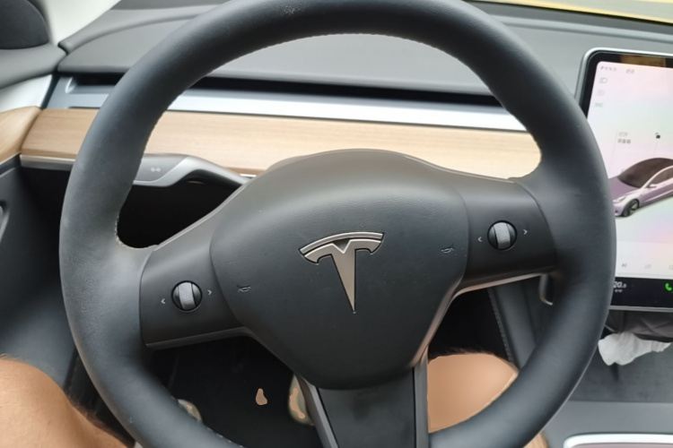 Tesla Model 3 2021 car image #11