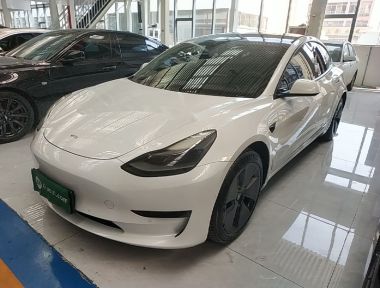 Tesla Model 3 2021 Tesla Model 3 2021 car image