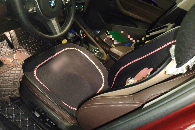 BMW X1 2020 car image #17