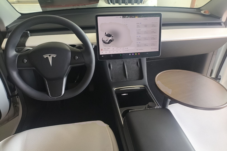 Tesla Model Y 2022 car image #10