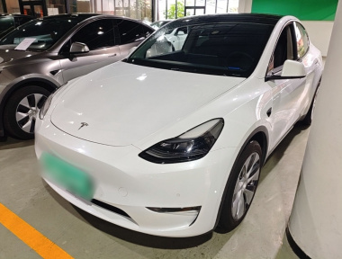 Tesla Model Y 2021 Tesla Model Y 2021 car image