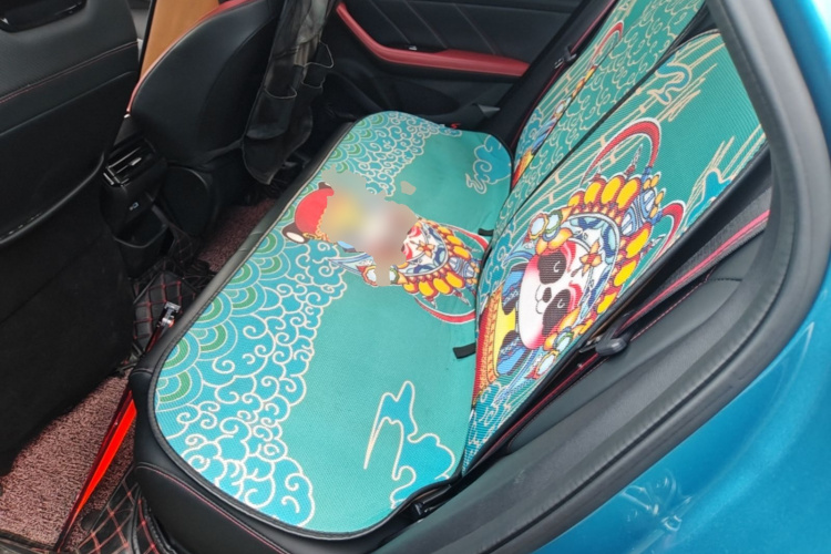 GEELY Emgrand S 2021 car image #19
