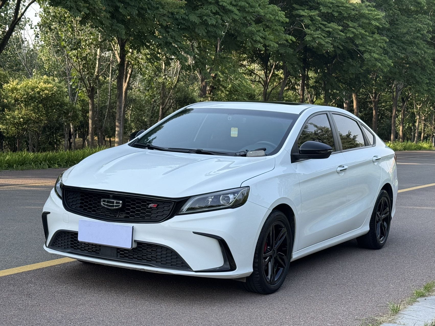 GEELY Binray 2021 GEELY Binray 2021 car image