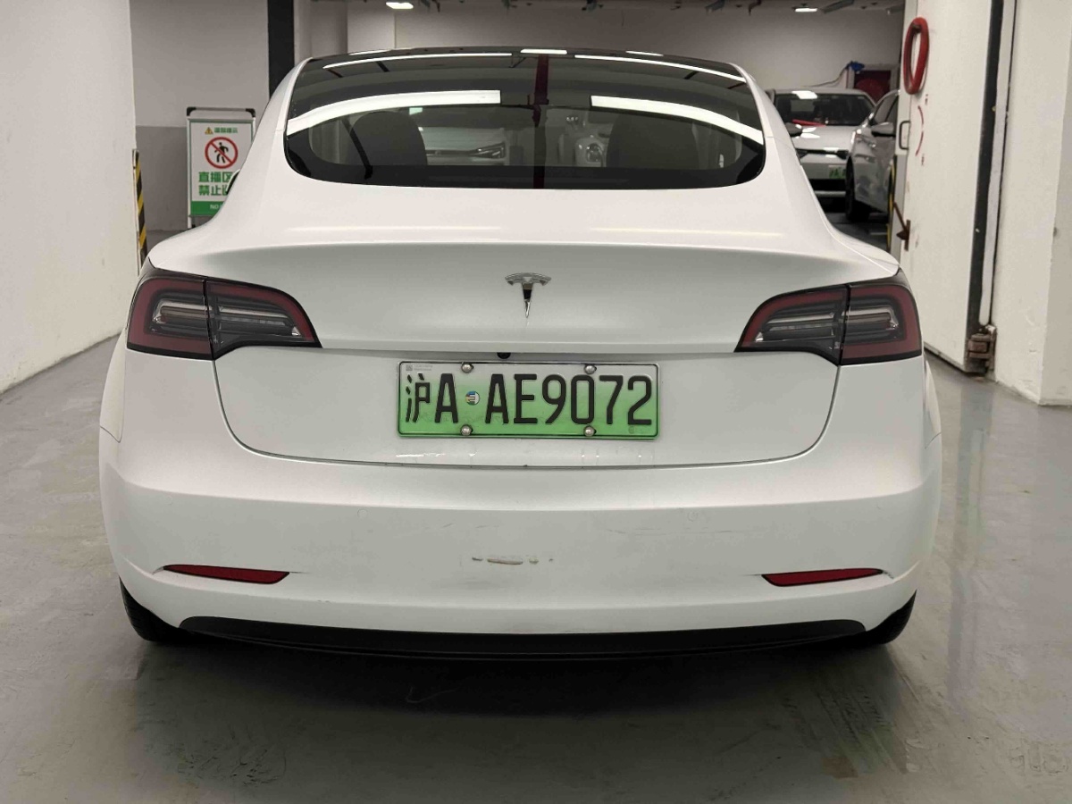 Tesla Model 3 2022 car image #8