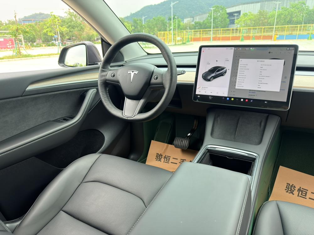 Tesla Model Y 2021 car image #16
