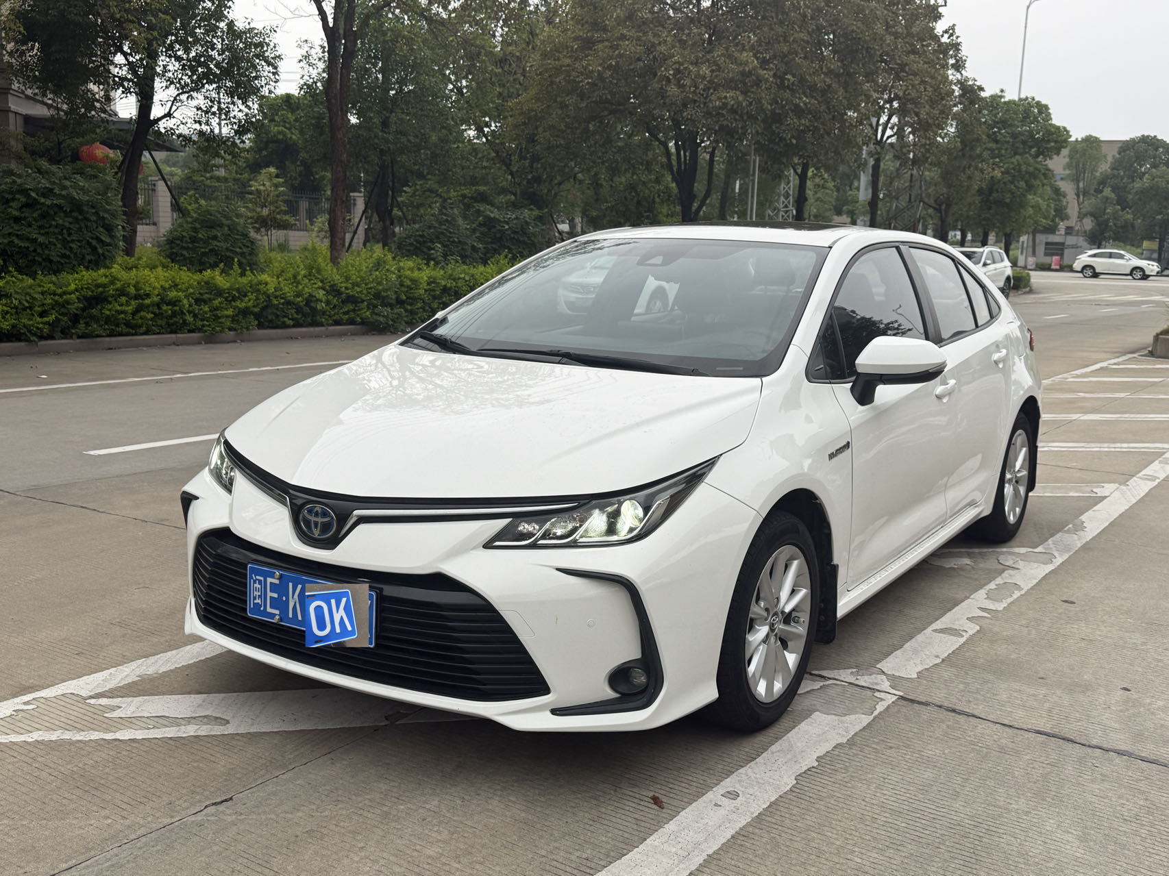 Toyota Corolla 2021 Toyota Corolla 2021 car image