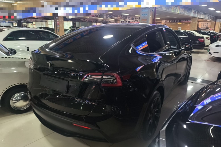 Tesla Model Y 2021 #5 Tesla Model Y 2021 car image #5