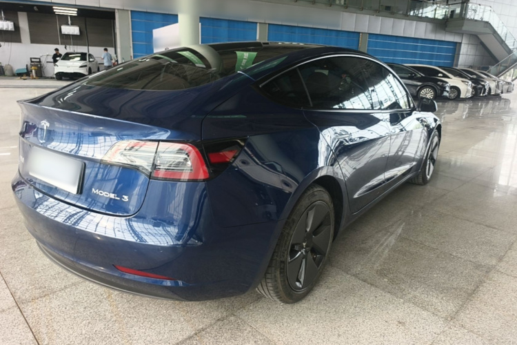 Tesla Model 3 2021 car image #7