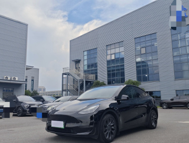 Tesla Model Y 2021 Tesla Model Y 2021 car image