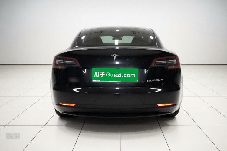Tesla Model 3 2021 car image #6