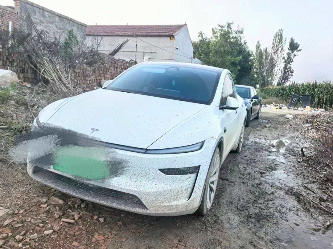 Tesla Model Y 2025 car image 