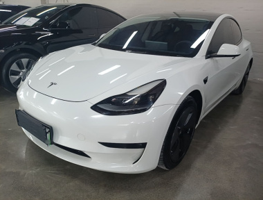 Tesla Model 3 2021 car image 