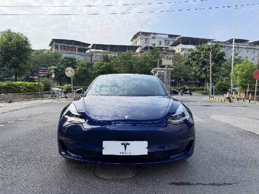Tesla Model 3 2020 imagem de carro #3