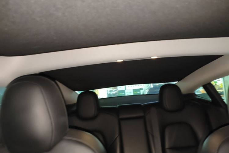 Tesla Model 3 2020 car image #18