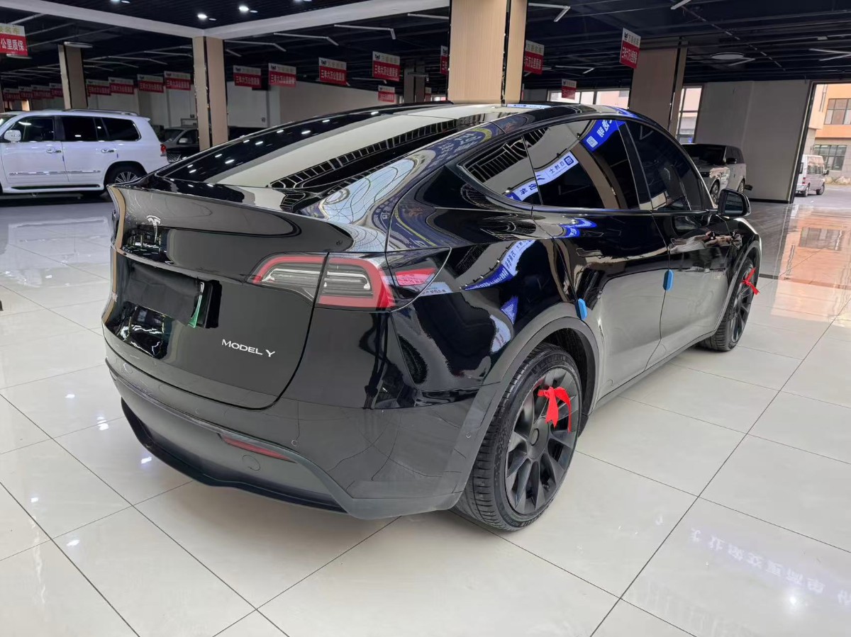 Tesla Model Y 2023 #6 Tesla Model Y 2023 car image #6