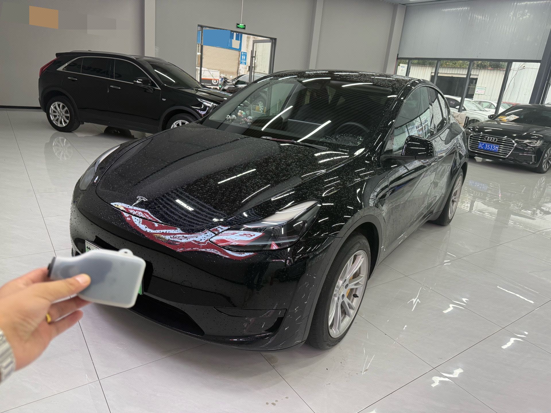 Tesla Model Y 2023 Tesla Model Y 2023 car image
