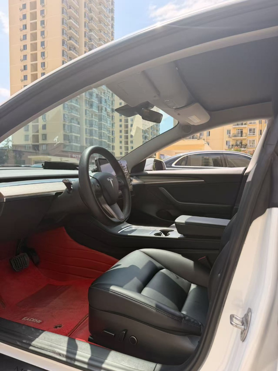 Tesla Model 3 2021 imagem de carro #7