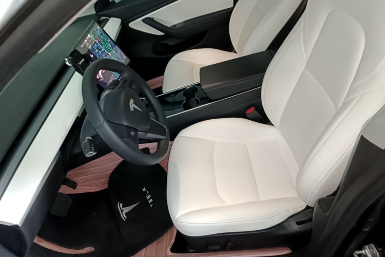 Tesla Model 3 2020 car image #15