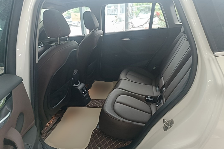 BMW X1 New Energy 2020 car image #17