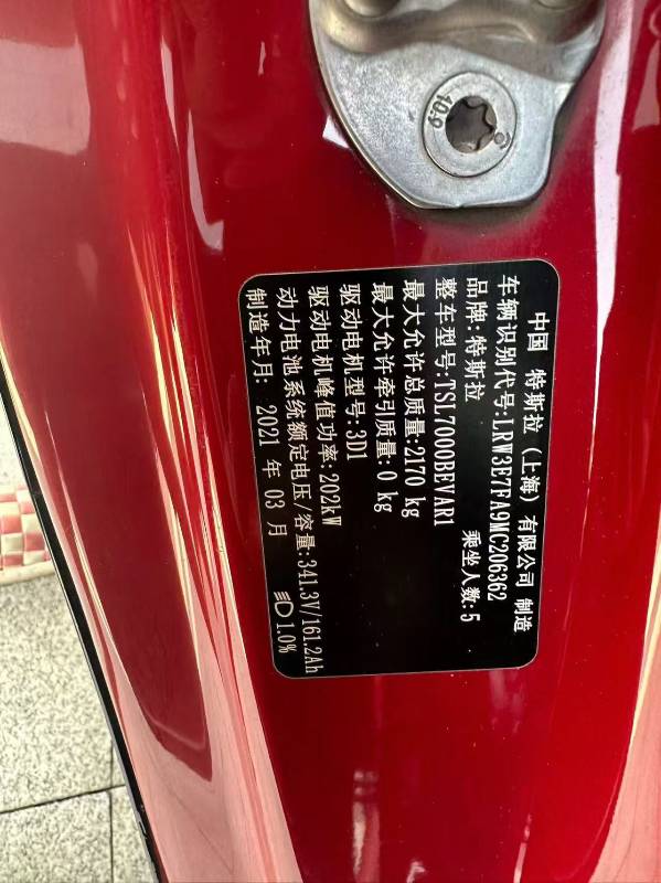 Tesla Model 3 2021 #4 Tesla Model 3 2021 car image #4