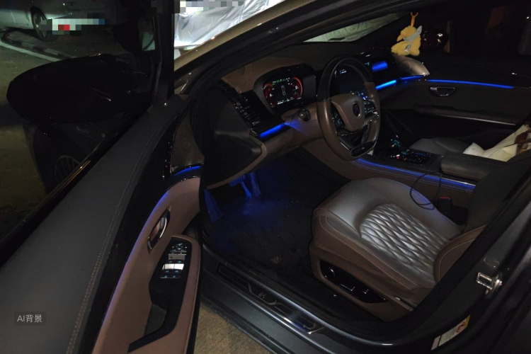 BYD Han 2021 #18 BYD Han 2021 immagine di auto #18