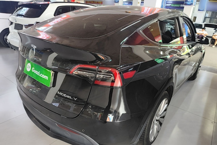 Tesla Model Y 2021 car image #7