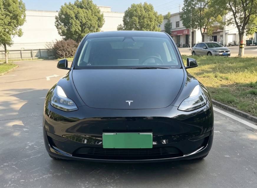 Tesla Model Y 2022 immagine di auto #7