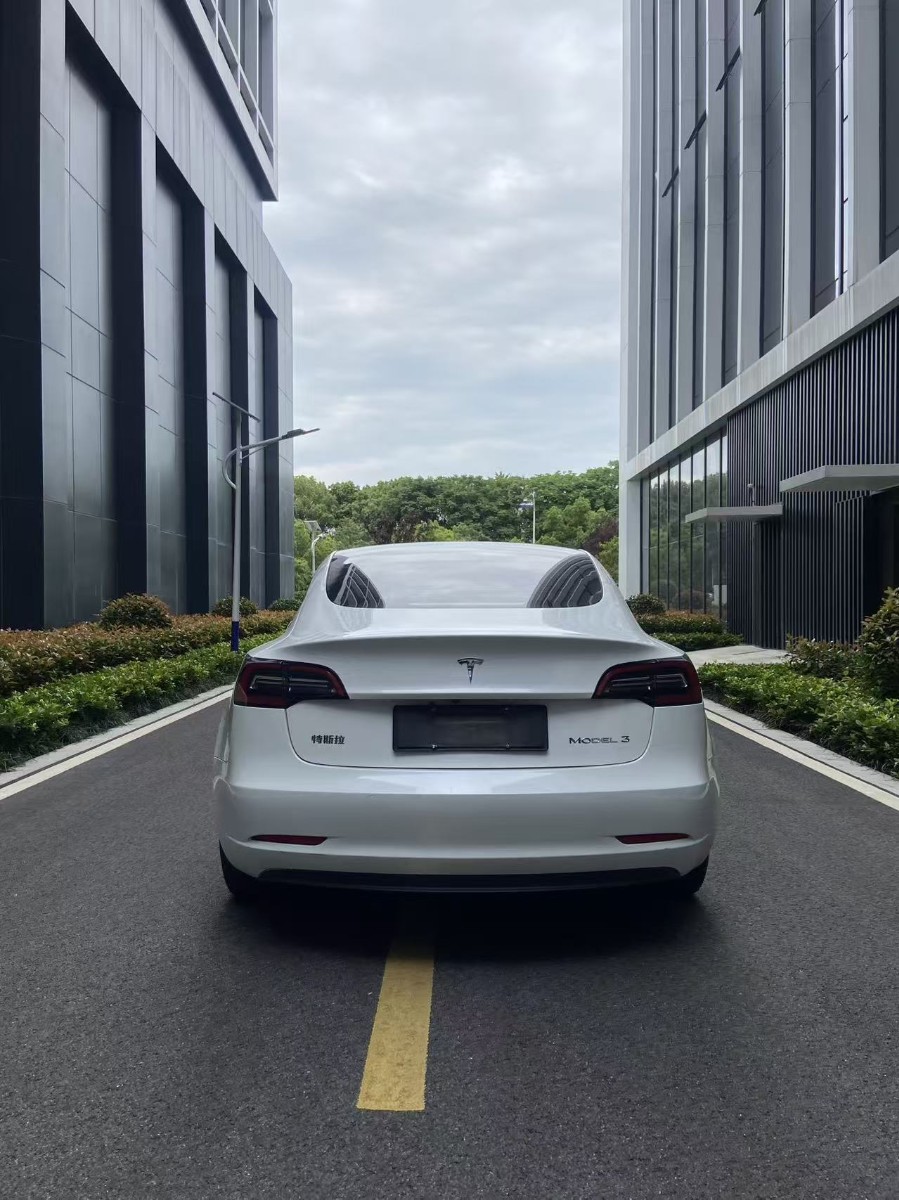 Tesla Model 3 2022 #5 Tesla Model 3 2022 car image #5