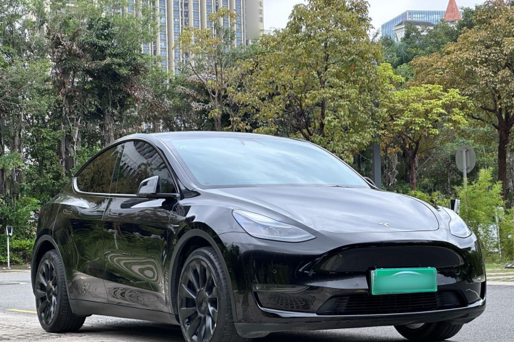 Tesla Model Y 2021 #4 Tesla Model Y 2021 car image #4