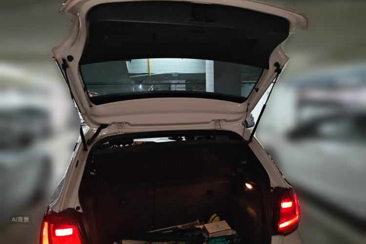 Volkswagen Polo 2016 car image #21
