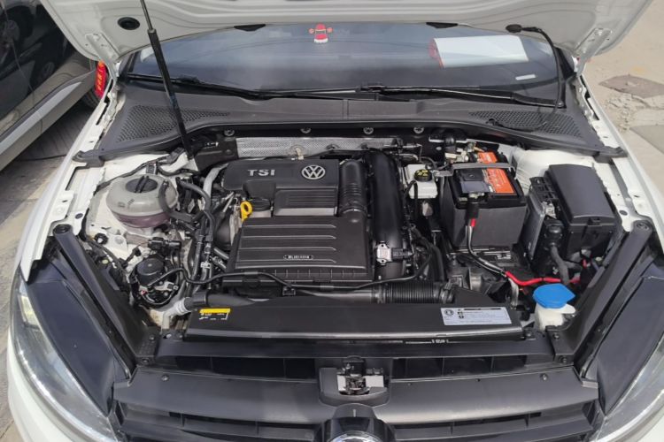 Volkswagen Golf 2019 #20 Volkswagen Golf 2019 car image #20