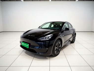 Tesla Model Y 2023 Tesla Model Y 2023 car image