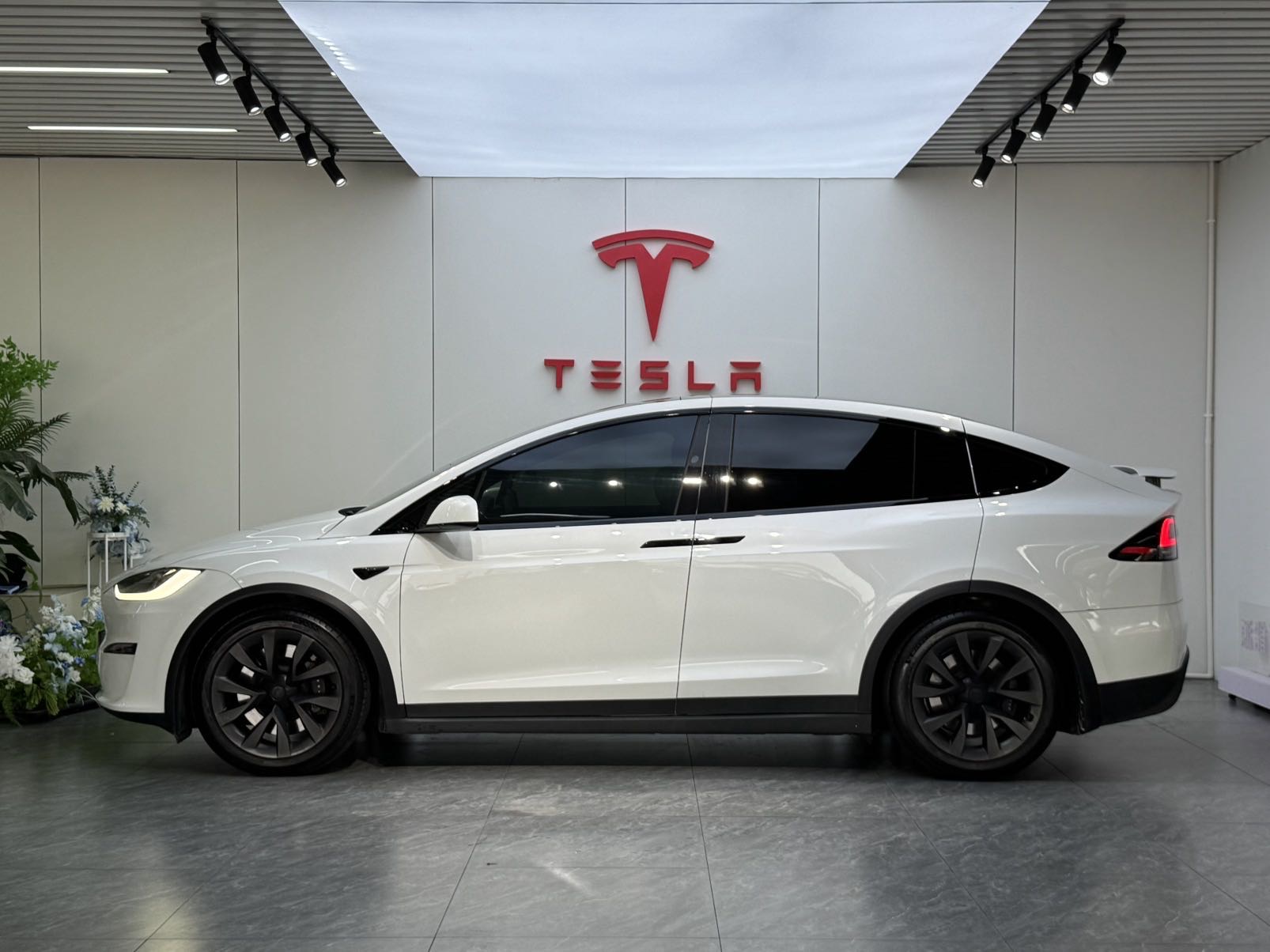 Tesla Model X 2023 car image #5