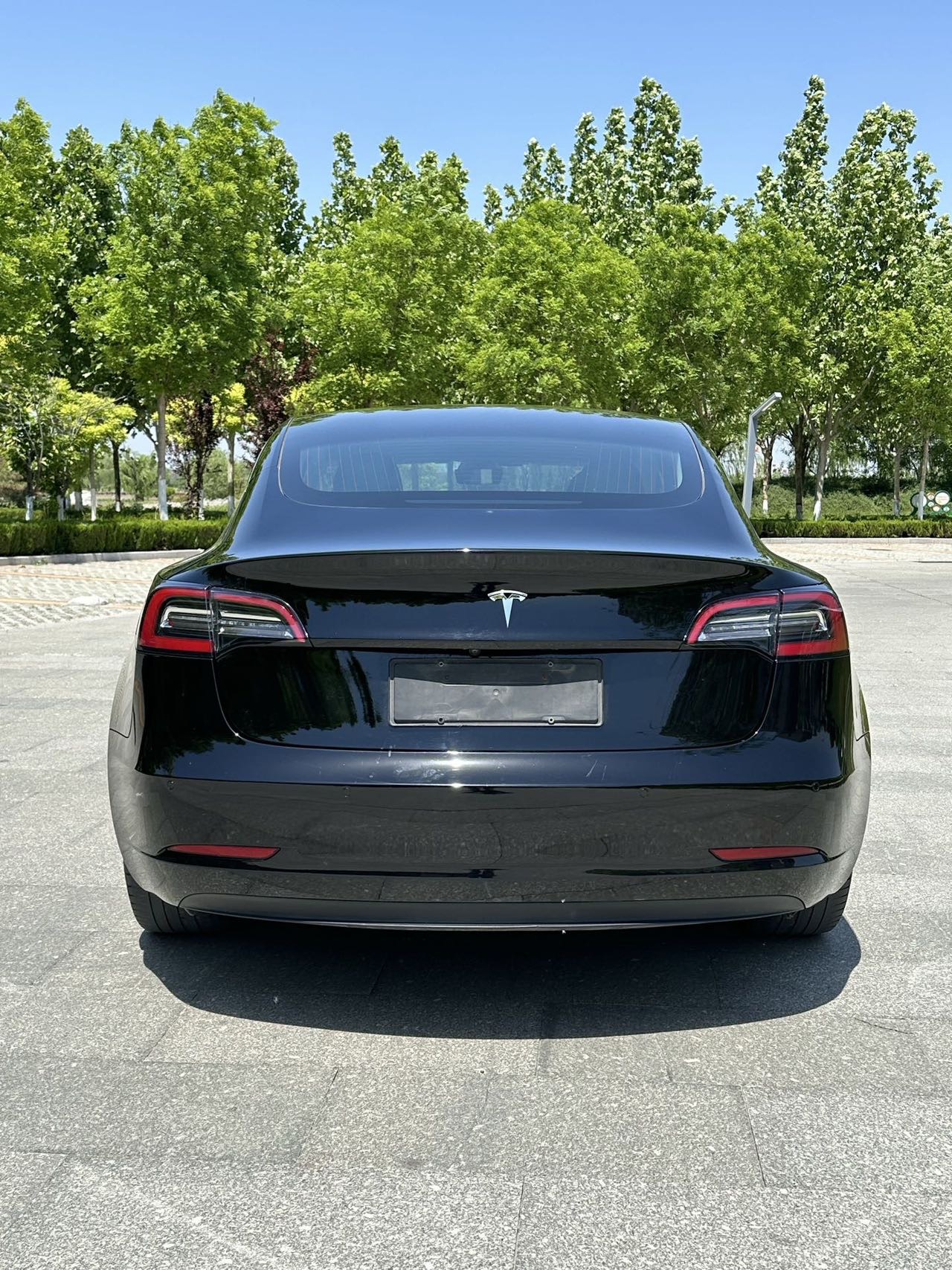 Tesla Model 3 2020 #5 Tesla Model 3 2020 car image #5
