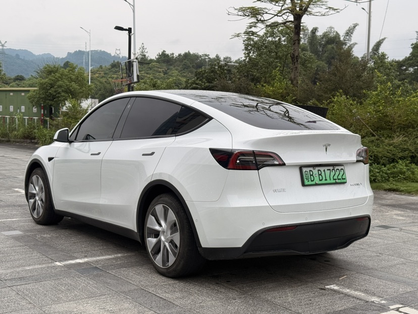 Tesla Model Y 2022 car image #7