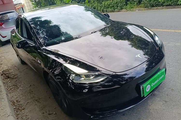 Tesla Model 3 2021 #6 Tesla Model 3 2021 car image #6