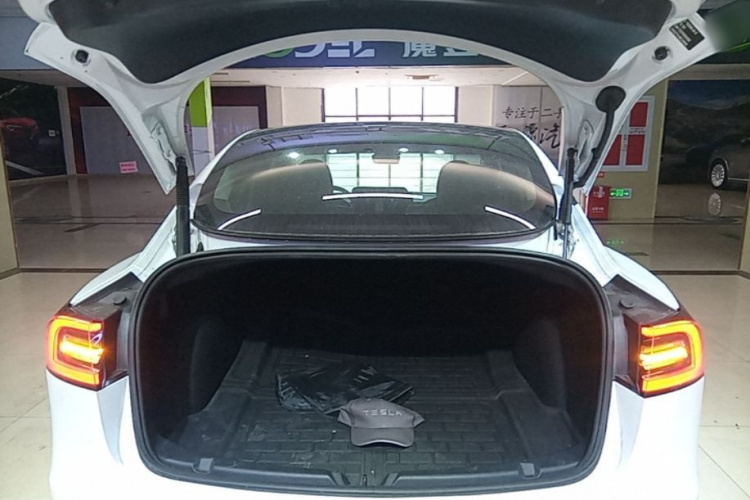 Tesla Model 3 2021 car image #19
