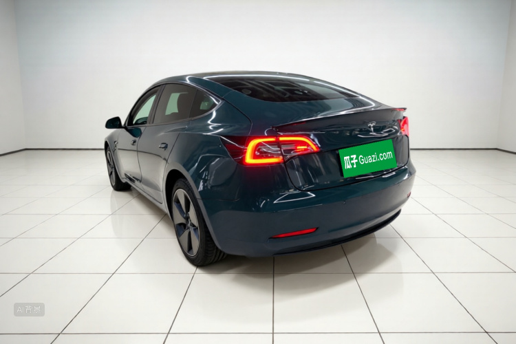 Tesla Model 3 2021 #5 Tesla Model 3 2021 car image #5