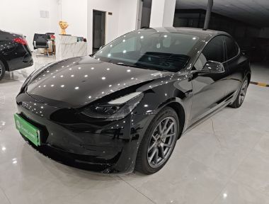 Tesla Model 3 2021 car image 