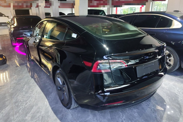 Tesla Model 3 2023 #5 Tesla Model 3 2023 car image #5
