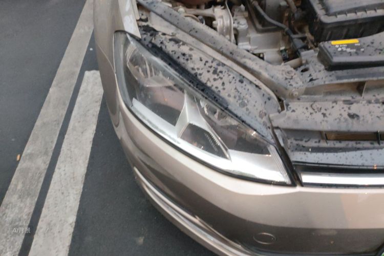 Volkswagen Golf 2016 #8 Volkswagen Golf 2016 car image #8