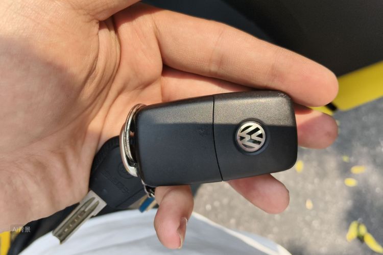 Volkswagen Polo 2016 car image #10